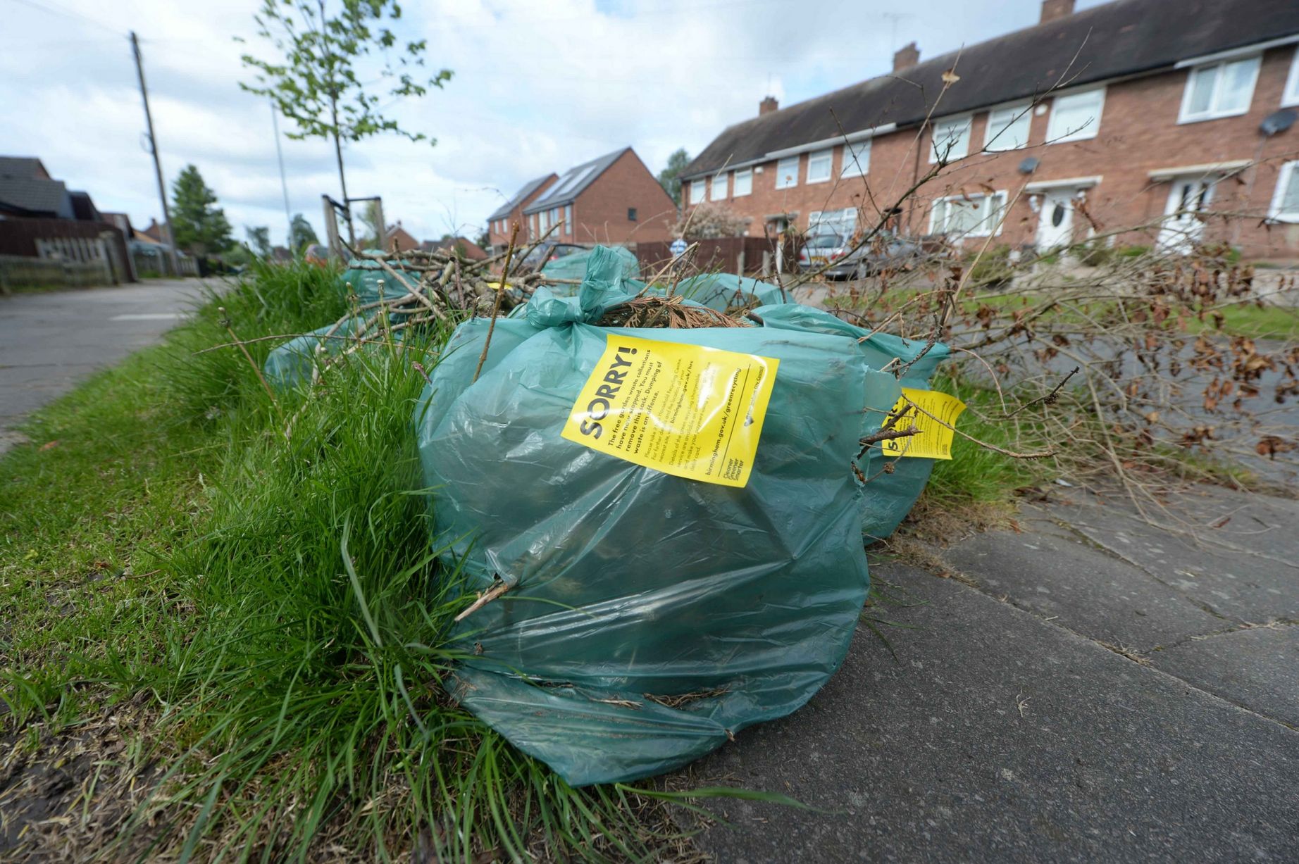 Green Waste Council Must Take A Step Back Until Labour MP s Questions